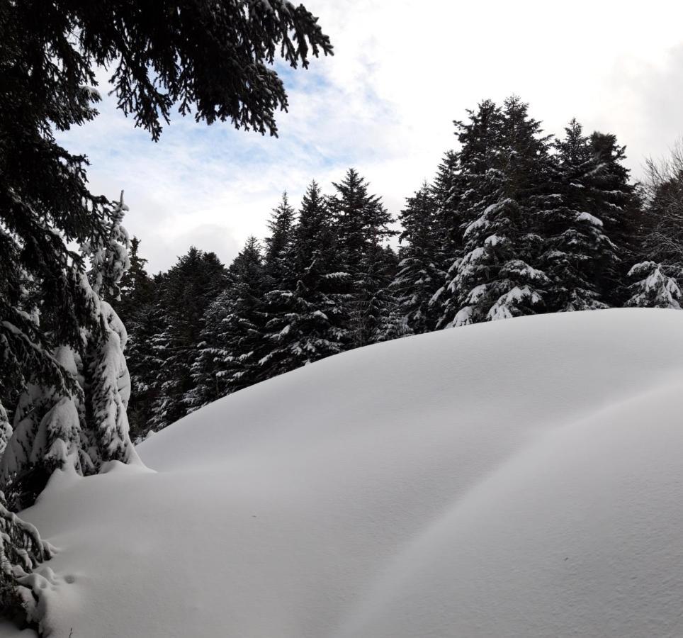 Pyrenees - Le Nid D'Ax Apartment Ax-les-Thermes Luaran gambar